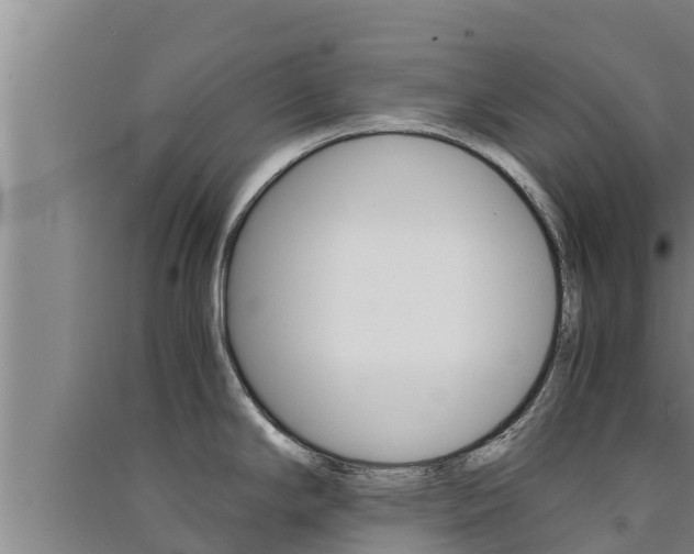 X0000091521294200708171002