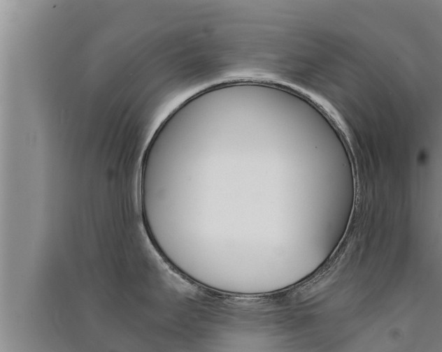X0000091521295200708171002