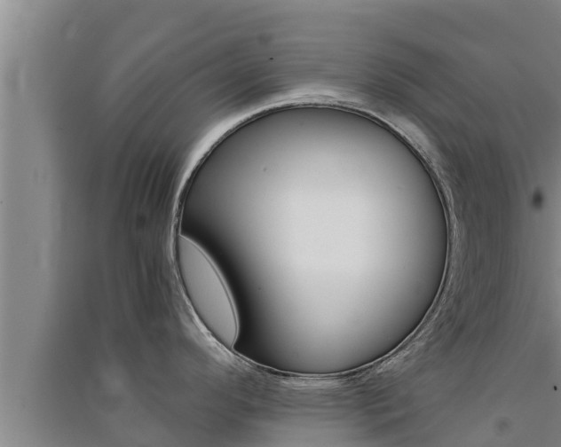 X0000091521296200708171002