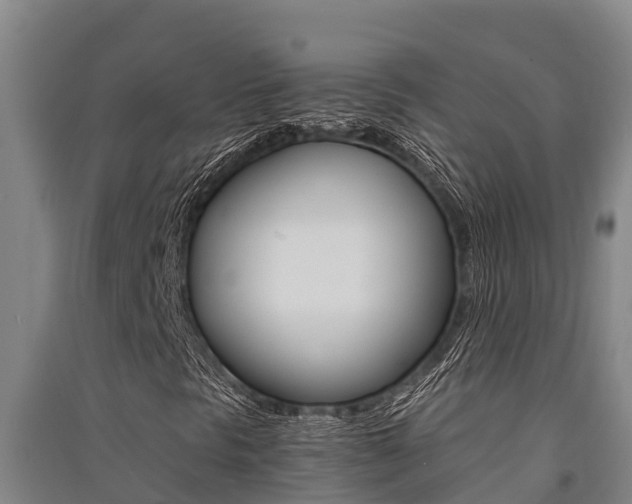 X0000091521297200708171001