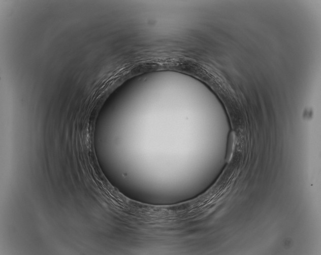 X0000091521298200708171001