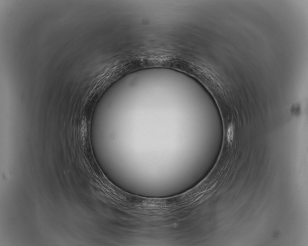 X0000091521299200708171001