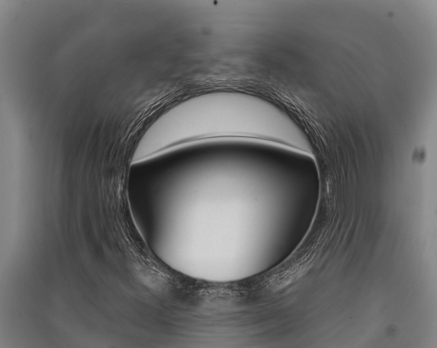 X0000091521300200708171001