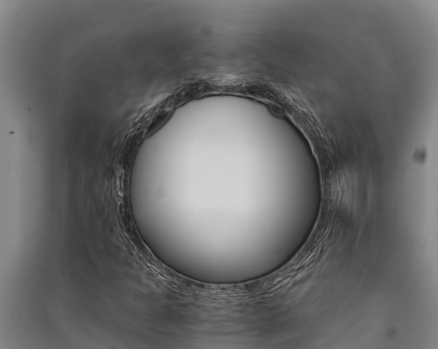 X0000091521301200708171001