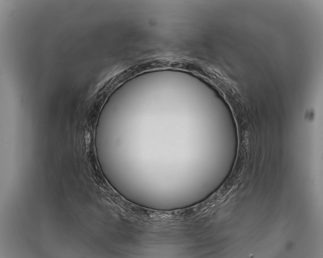 X0000091521302200708171001