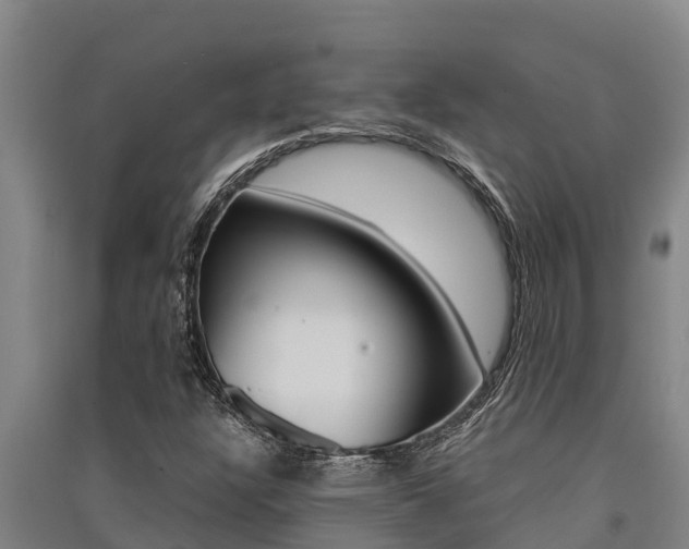 X0000091521304200708171001