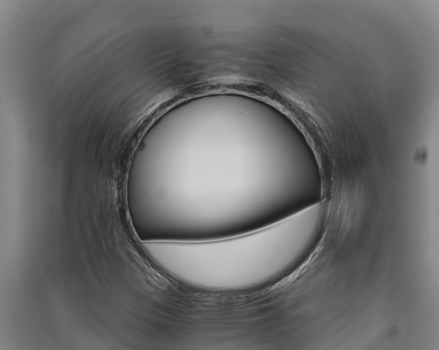 X0000091521305200708171001