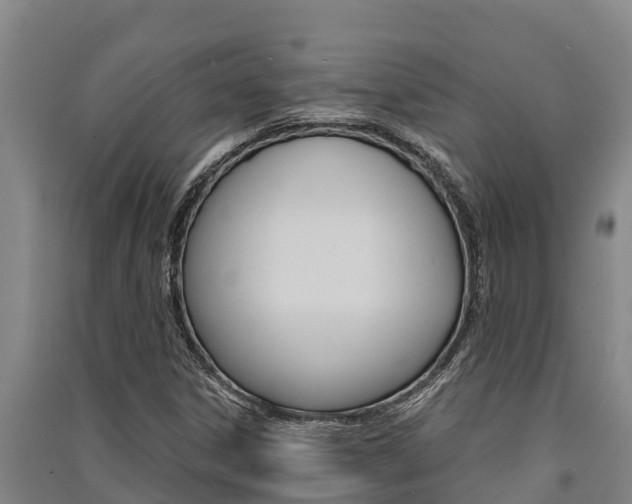 X0000091521306200708171001