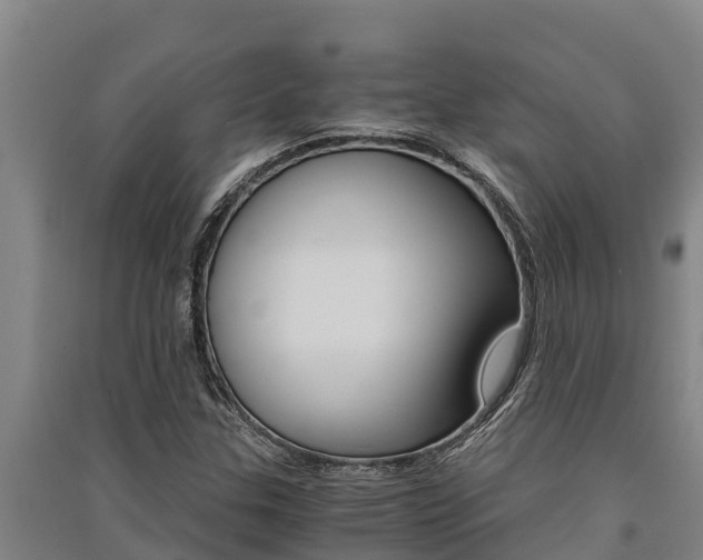 X0000091521307200708171001