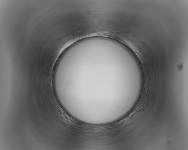 X0000091521308200708171001