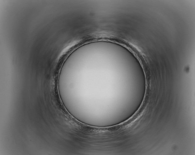 X0000091521309200708171001
