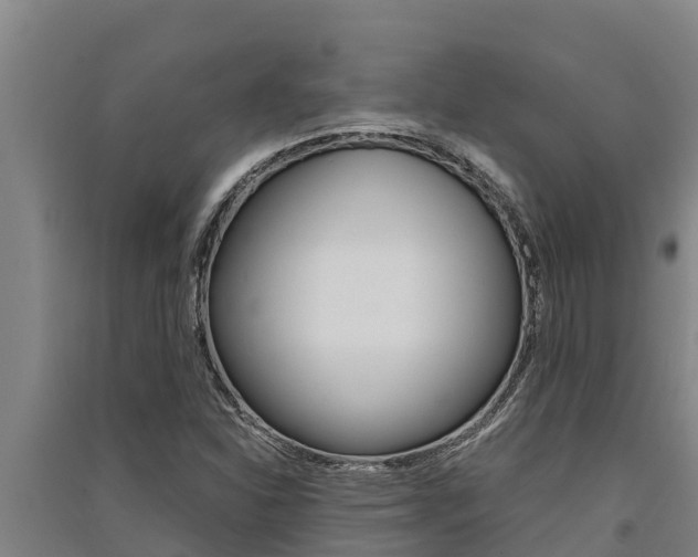 X0000091521310200708171001