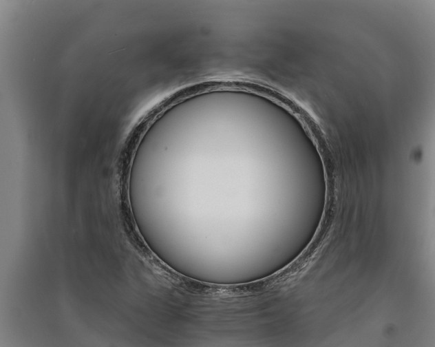 X0000091521311200708171001