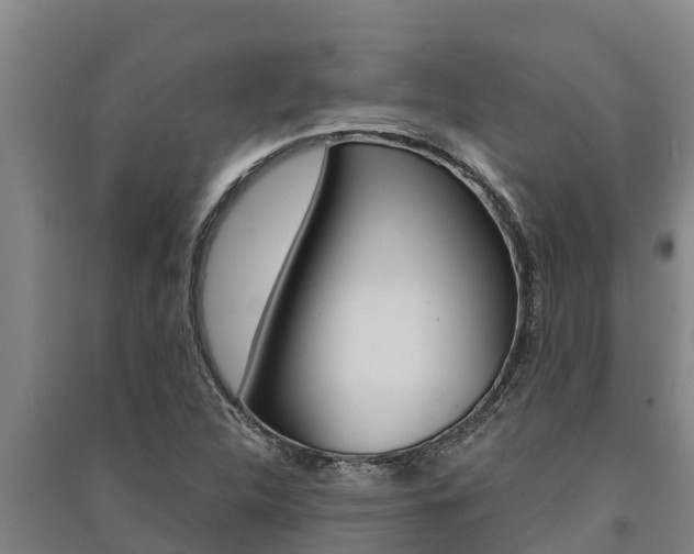 X0000091521312200708171001