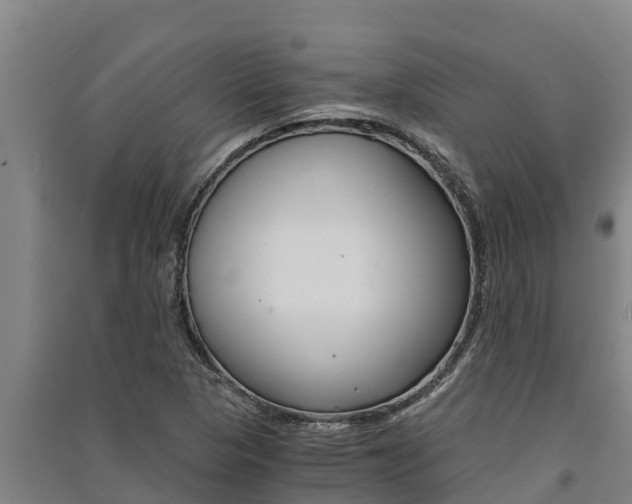 X0000091521313200708171001