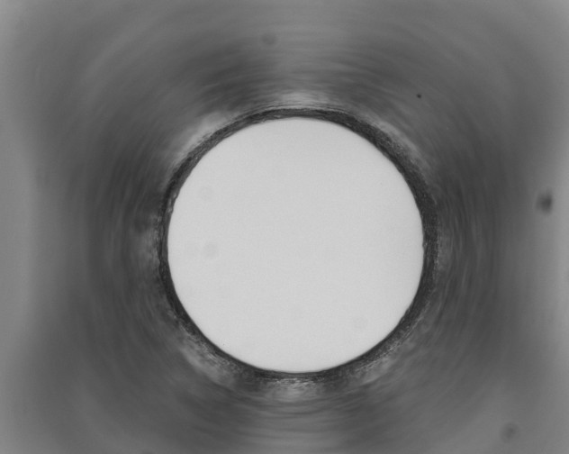 X0000091521314200708171001