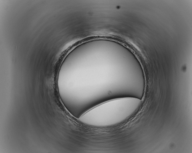 X0000091521315200708171001