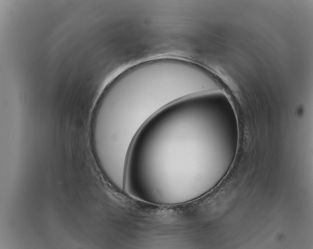 X0000091521316200708171001