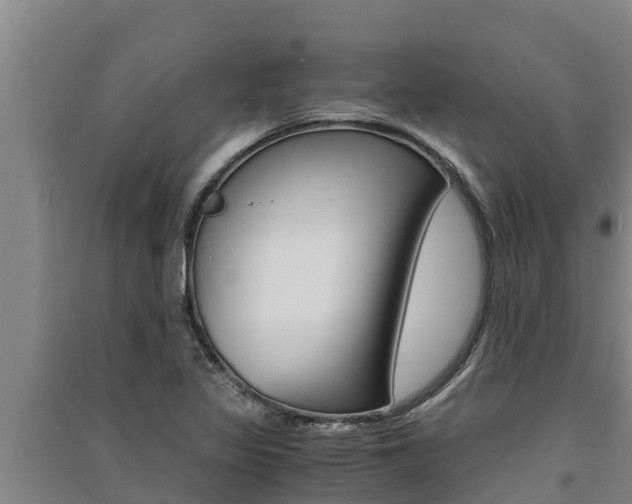X0000091521317200708171001