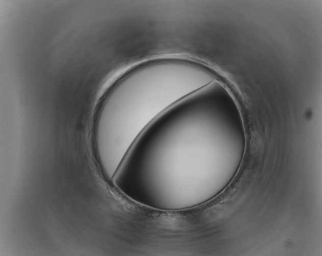 X0000091521319200708171001