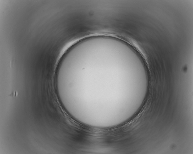 X0000091521320200708171001