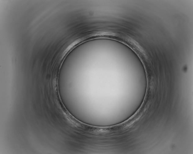 X0000091521321200708171001