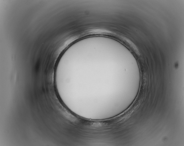 X0000091521322200708171001