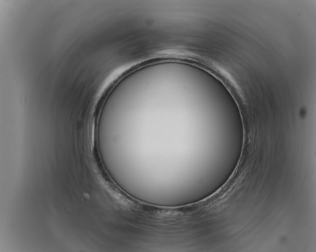 X0000091521323200708171001