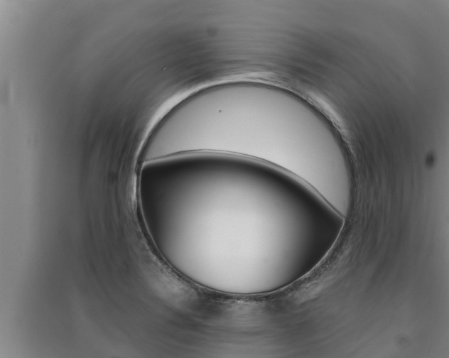 X0000091521324200708171001
