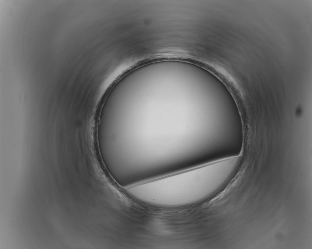 X0000091521325200708171001