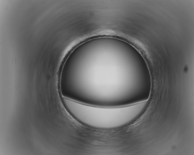 X0000091521326200708171001