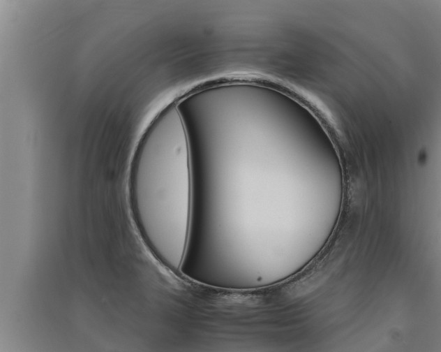 X0000091521327200708171001