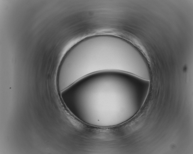 X0000091521328200708171002