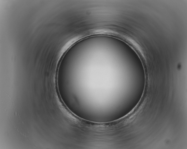 X0000091521330200708171002