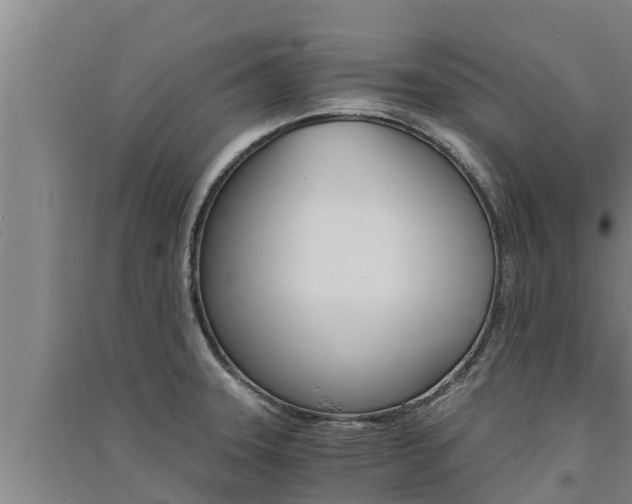 X0000091521331200708171002