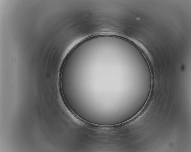 X0000091521333200708171002