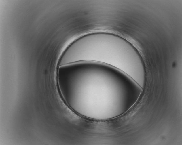 X0000091521334200708171002