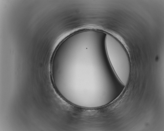 X0000091521335200708171002