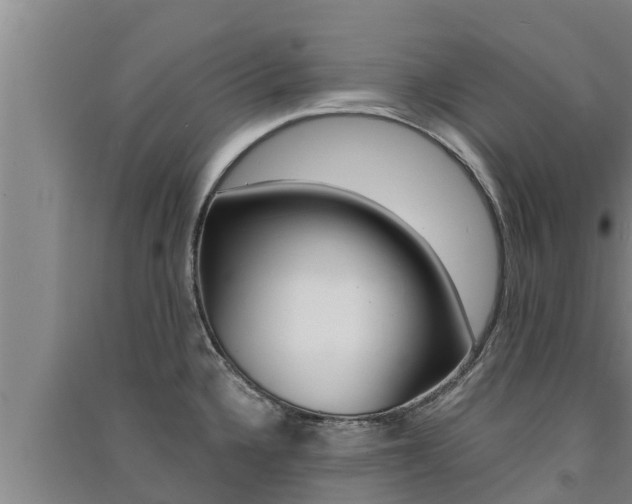 X0000091521336200708171002