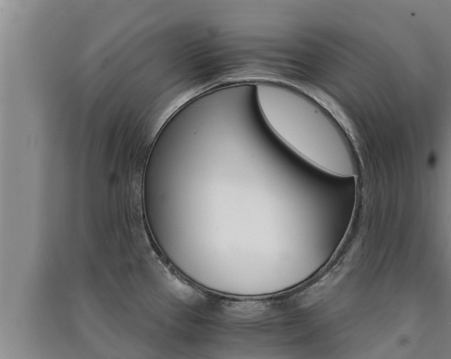 X0000091521337200708171002