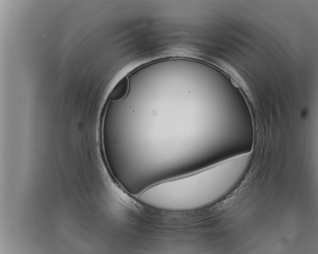 X0000091521339200708171002