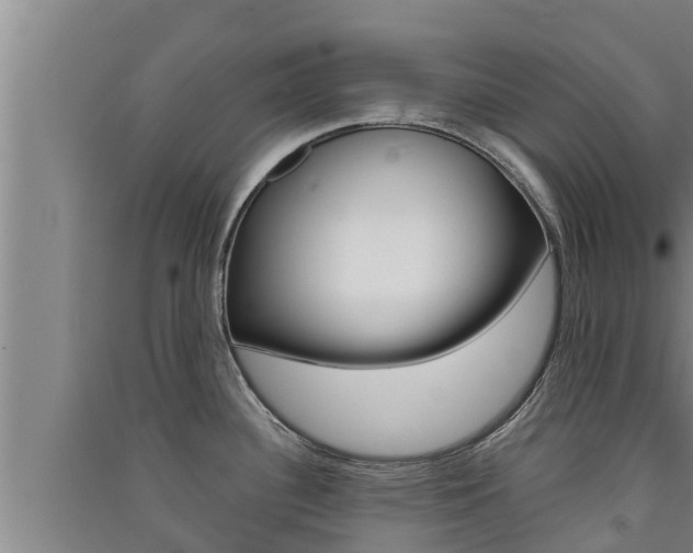 X0000091521340200708171002