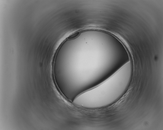 X0000091521341200708171002