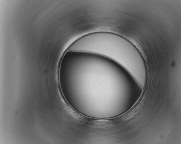X0000091521342200708171002