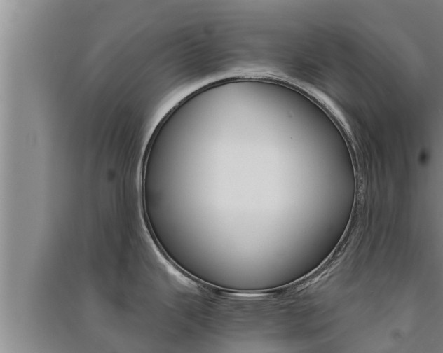 X0000091521343200708171002