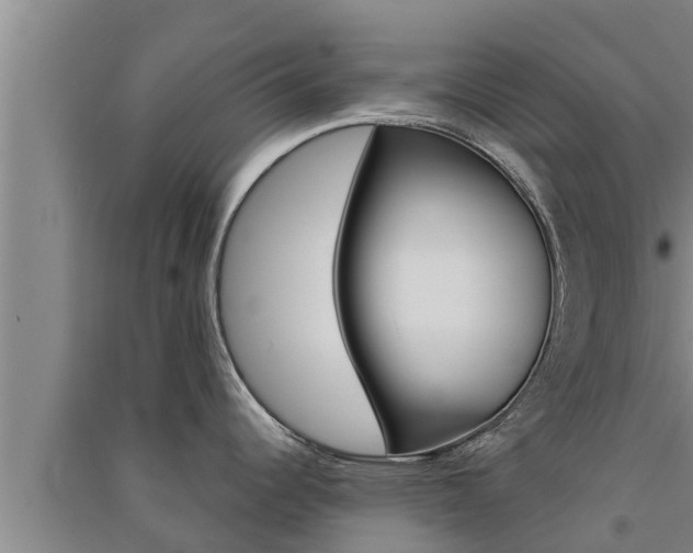 X0000091521344200708171002