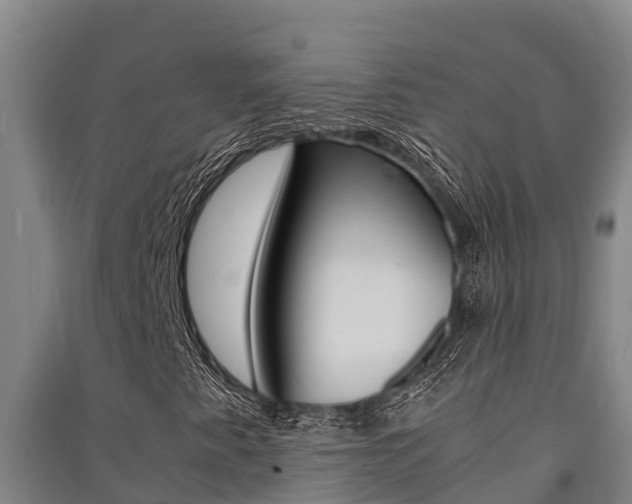 X0000091521345200708171001