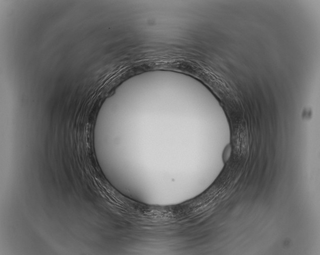 X0000091521346200708171001