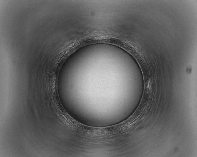 X0000091521348200708171001