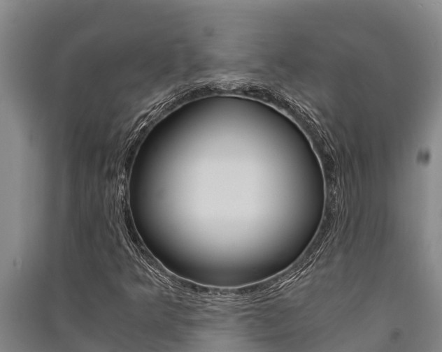 X0000091521349200708171001